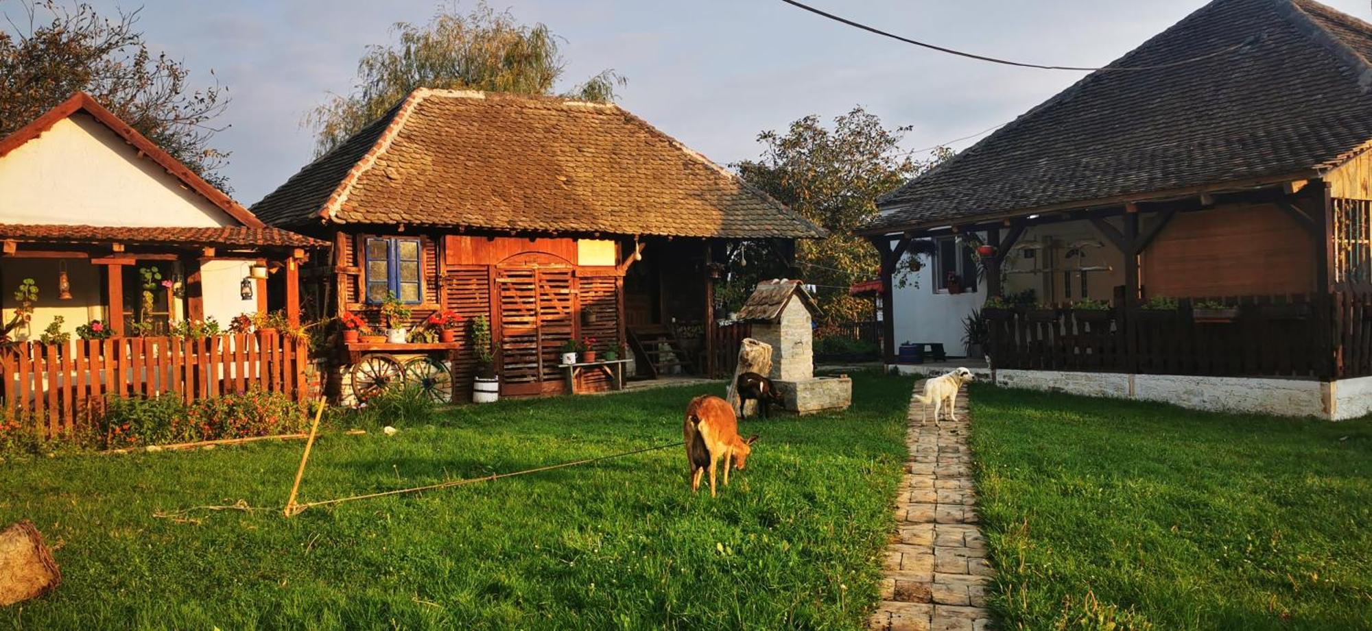 Etno Domacinstvo Miris Bosiljka Daire Mislodin Dış mekan fotoğraf